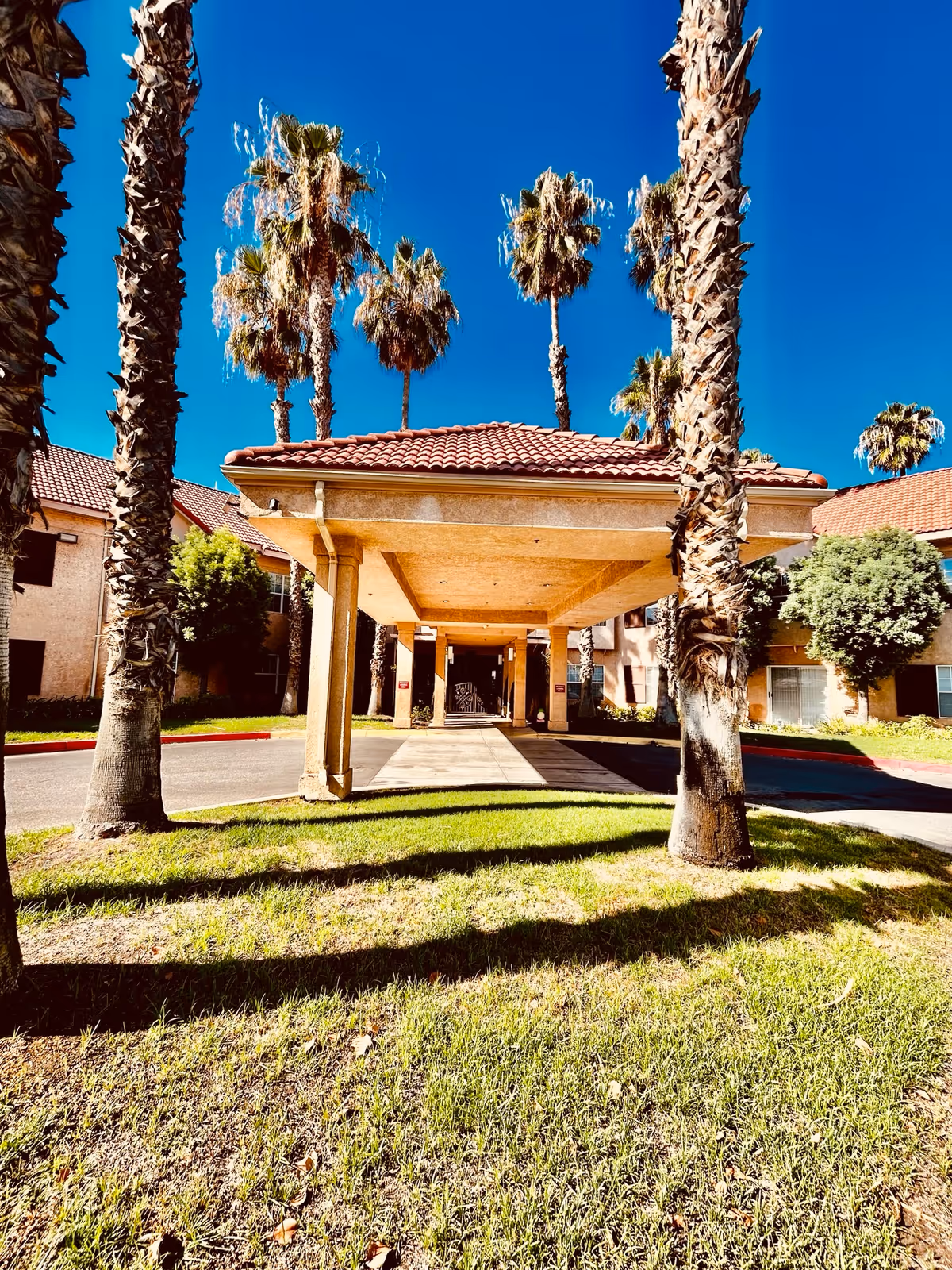 Entrance area of a senior living facility with a covered drop-off zone supported by columns, surrounded by palm trees and green grass under a clear blue sky.