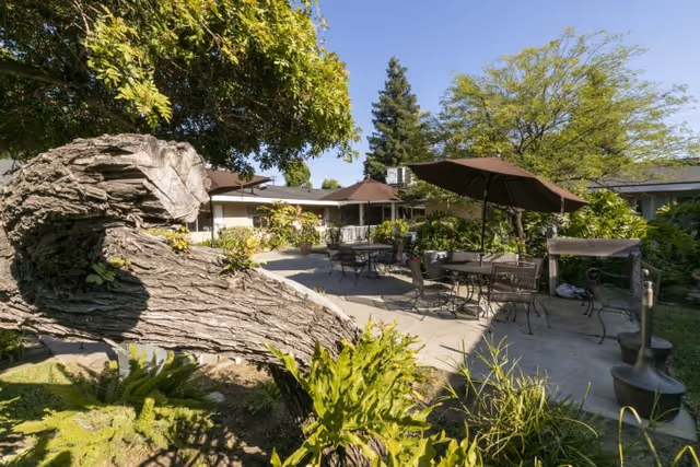 Sunlit outdoor courtyard with patio tables, umbrellas, and lush landscaping around a low building.