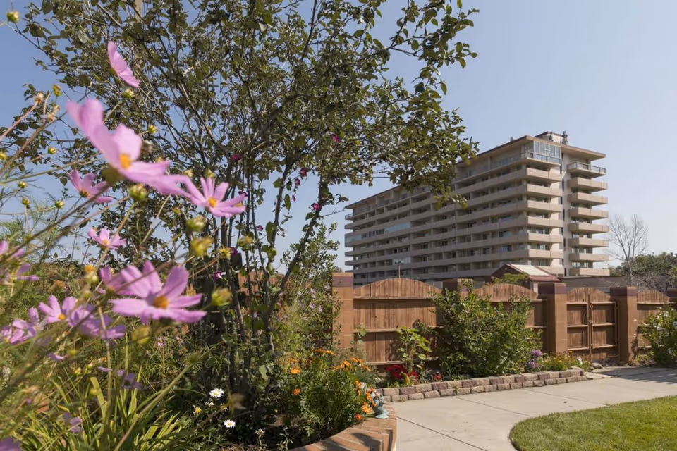 Outdoor garden area with blooming pink and white flowers, green shrubs, and a tree. In the background, there is a multi-story building with balconies under a clear blue sky. A wooden fence and a paved walkway are also visible.