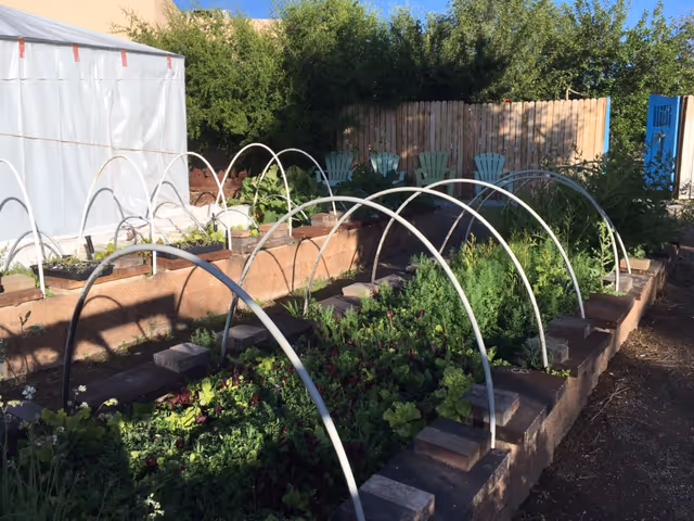 Raised garden beds with various green plants growing under white hoop supports, a wooden fence in the background, several green and blue chairs arranged near the fence, and a white tent structure on the left side.