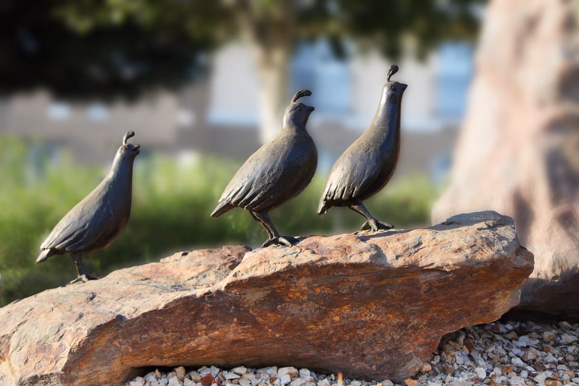 Three small bird sculptures standing on a large rock outdoors with blurred greenery and building in the background.