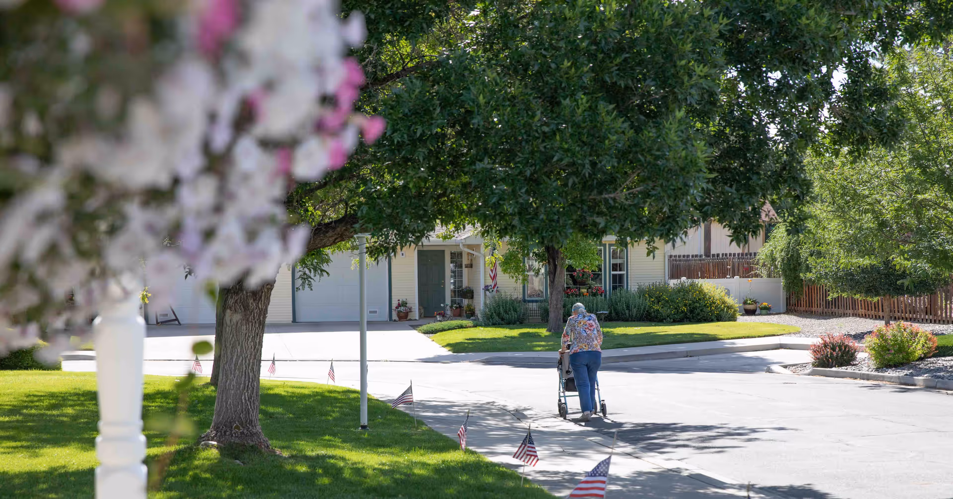 An elderly person using a walker is walking on a paved path in a residential area with green lawns, trees, and houses in the background. Small American flags line the edge of the sidewalk.
