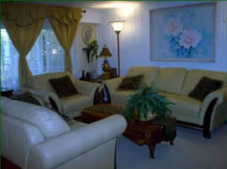 A cozy living room with cream-colored sofas and armchairs, dark accent pillows, a wooden coffee table with a green plant, a floor lamp, and a large painting of pink flowers on the wall. The room has large windows with sheer curtains and yellow drapes.