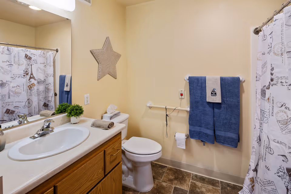 A clean bathroom with a white sink and countertop, wooden cabinet below, a toilet, and a shower with a curtain featuring Paris-themed prints. There are blue and beige towels hanging on a towel rack, a small green plant on the countertop, a tissue box, and a beige star decoration on the wall.
