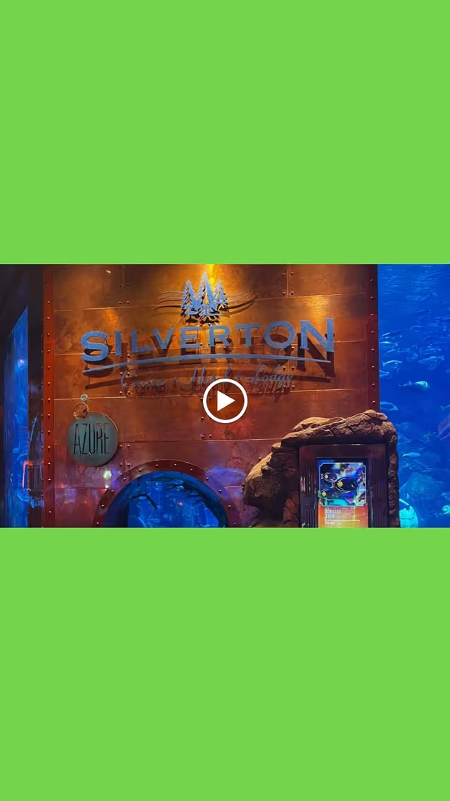An underwater-themed interior wall with the word 'SILVERTON' prominently displayed along with a logo of trees above it. There is a circular window showing an aquarium with fish swimming inside. To the right, there is a rock-like structure with a digital display showing an image of a fish. The setting appears to be part of an aquarium or themed exhibit.