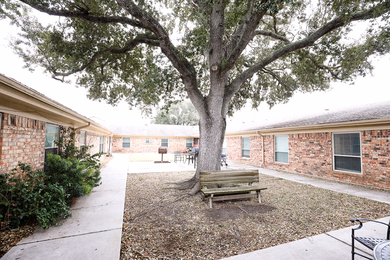 Outdoor courtyard area at Lone Star Ranch Rehabilitation and Healthcare Center featuring a large tree with a wooden bench underneath, surrounded by brick buildings with windows. There is a paved walkway around the courtyard and some outdoor seating and a grill in the background.