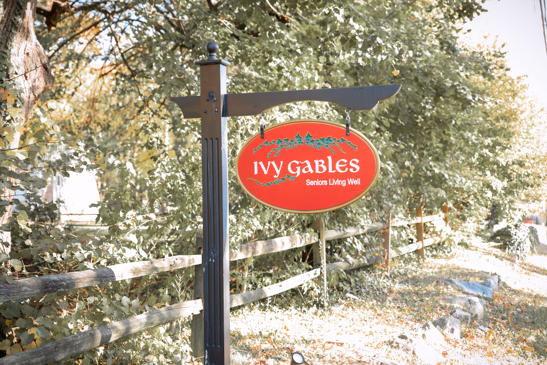 A red oval sign reading "Ivy Gables Seniors Living Well" hangs from a post beside a wooden fence and leafy trees.