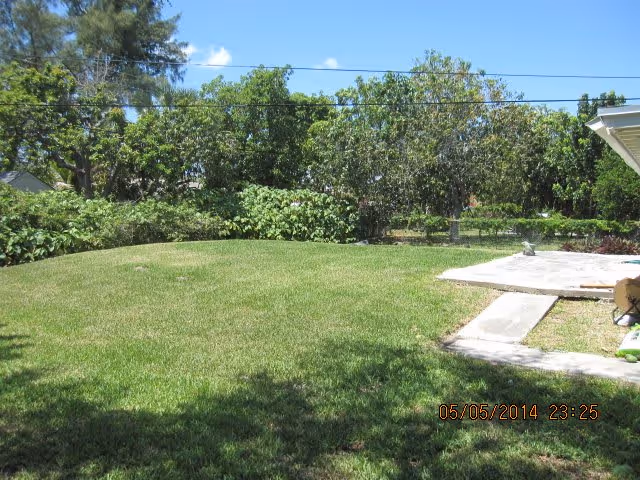 A sunny grassy backyard with a small concrete patio, surrounding trees and power lines under a blue sky.