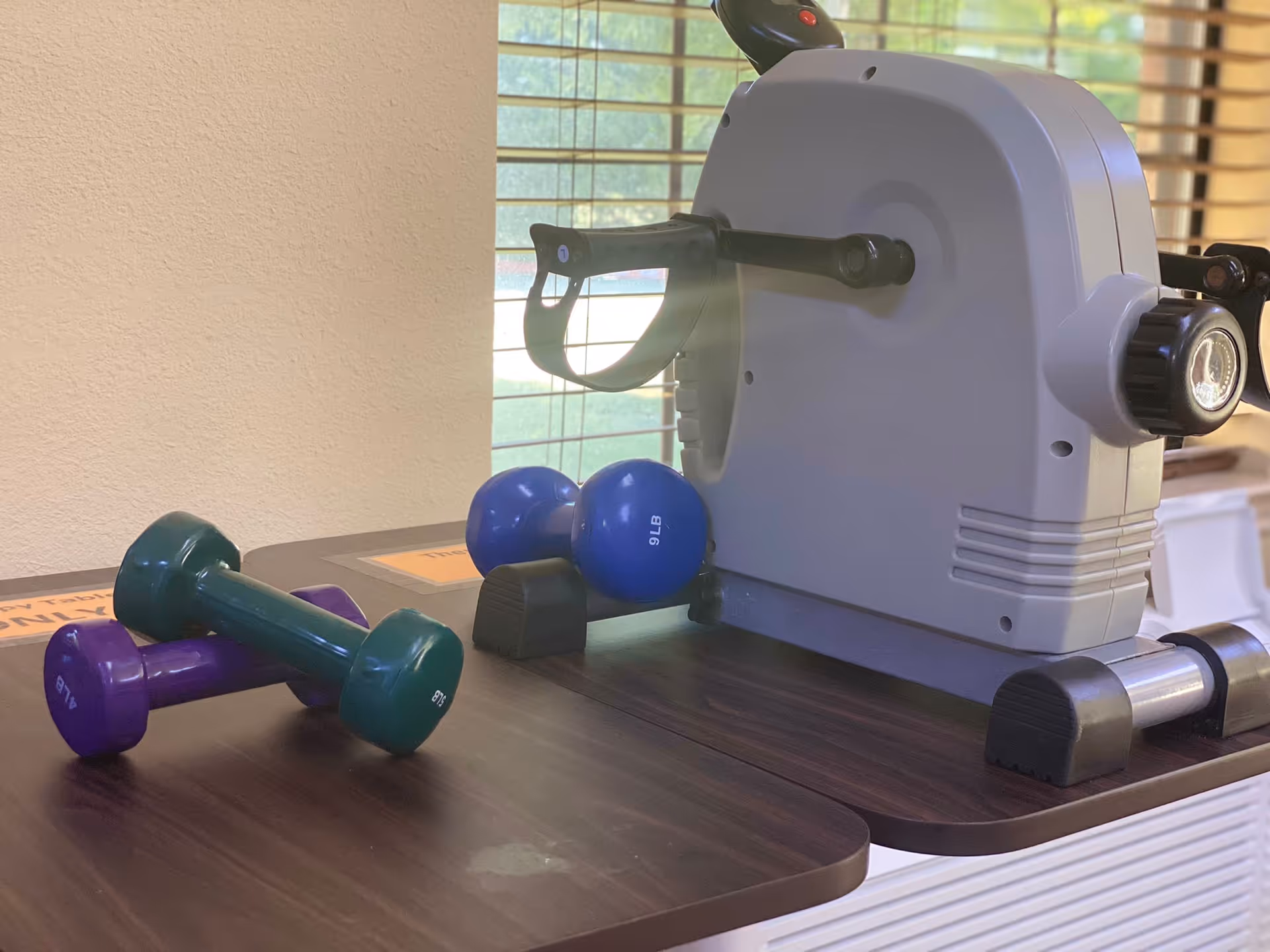 A small exercise area with a pedal exerciser machine and several dumbbells placed on a wooden surface near a window with blinds.