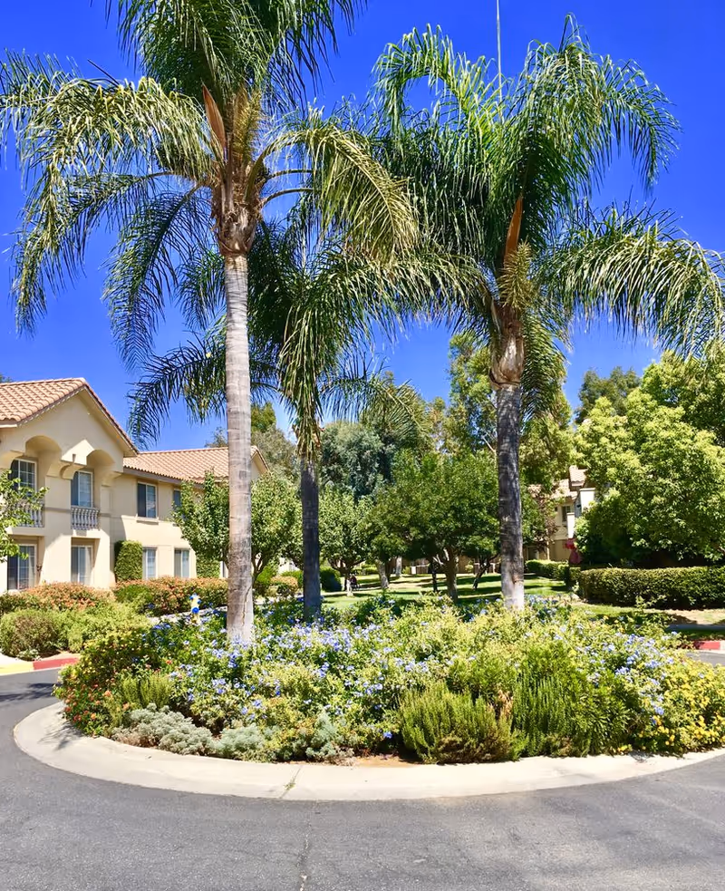 A landscaped roundabout with tall palm trees and various green shrubs and flowering plants in the center, surrounded by a paved road. In the background, there are beige two-story buildings with tiled roofs and windows, along with more trees and greenery under a clear blue sky.