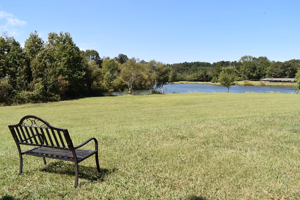 A metal bench on a grassy lawn facing a pond with trees and a clear blue sky.