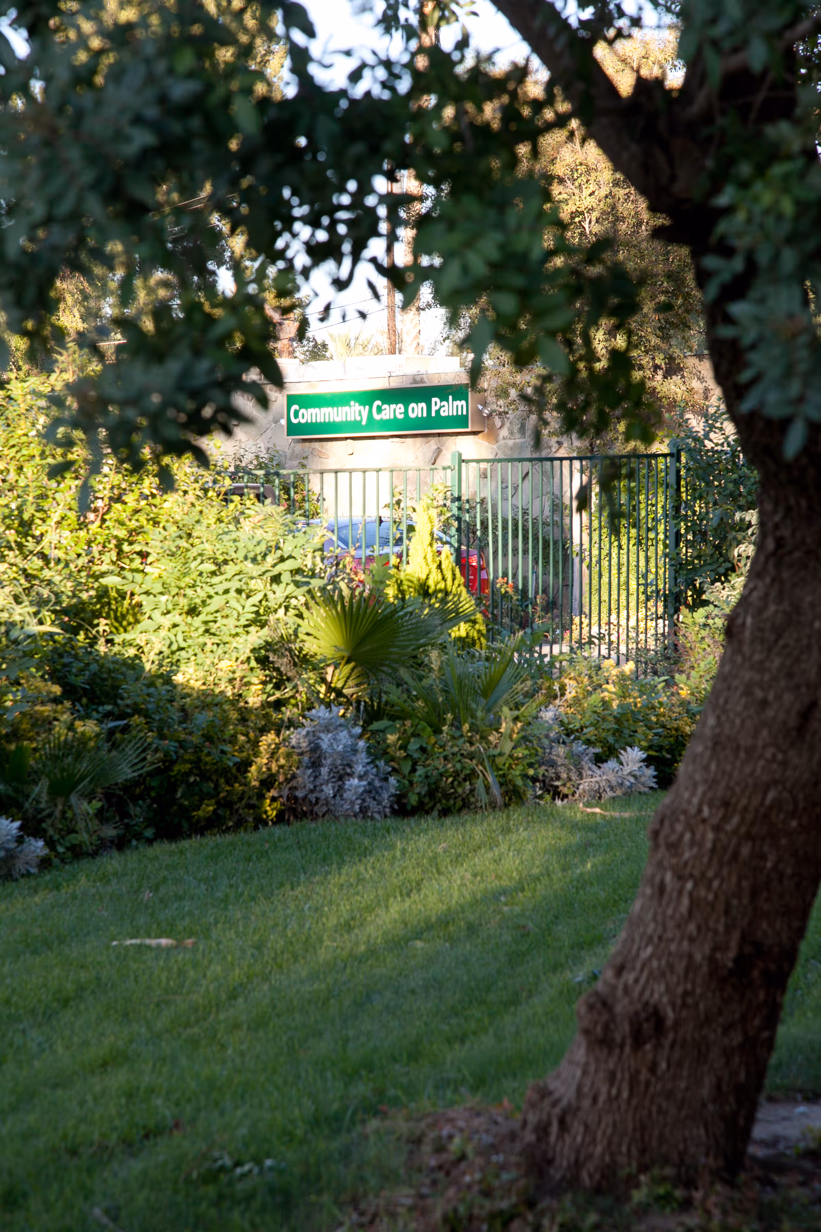 View of a green lawn and various plants and trees in the foreground with a gated entrance and a sign that reads 'Community Care on Palm' in the background.