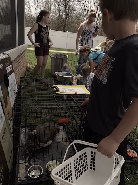Several children gathered outside near a fenced area with a small animal cage containing a raccoon. One child is holding a white basket, and others are looking at or interacting with the animals. The setting is a grassy yard with a white fence and trees in the background.