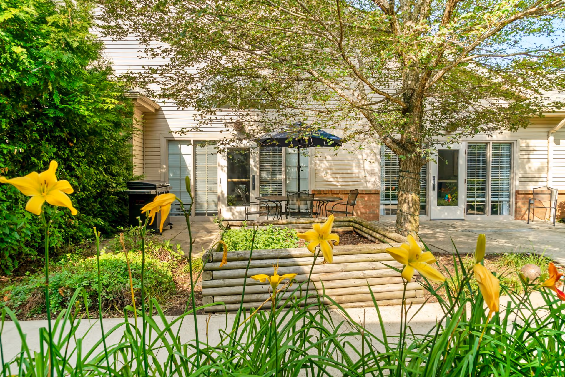Outdoor patio area with a tree, yellow flowers in the foreground, a raised garden bed, patio furniture including a table with an umbrella and chairs, and a barbecue grill near the building with glass doors and windows.