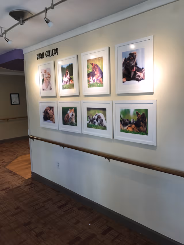A hallway wall in a senior living facility displaying a gallery of eight framed photographs of dogs and puppies in various outdoor settings. The wall is labeled 'BARK GALLERY' above the pictures. There is a handrail along the wall and overhead track lighting illuminating the photos.