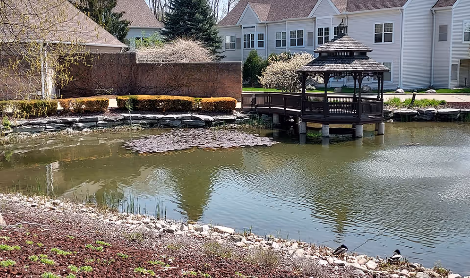 A peaceful outdoor scene at Autumn House Bloomfield Hills featuring a small pond with lily pads, a wooden gazebo on stilts extending over the water, and residential buildings in the background. The area is landscaped with bushes, trees, and rocks along the pond's edge.