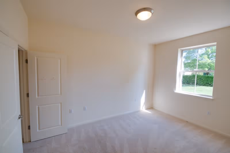 Empty room with beige carpet, cream-colored walls, a ceiling light fixture, a window showing greenery outside, and an open door with hooks on the back.