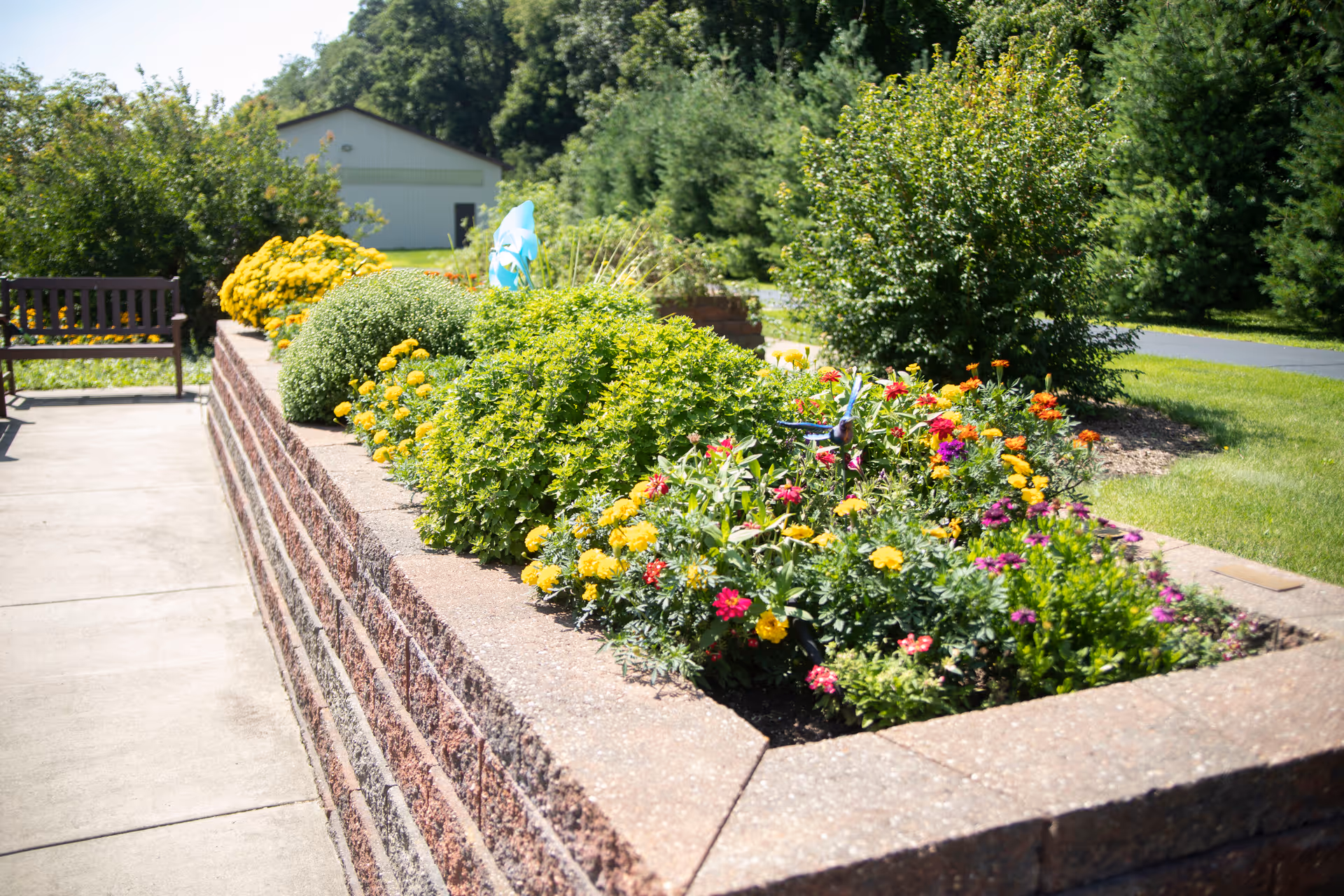 Raised brick planter filled with colorful flowers and shrubs beside a sidewalk and bench in a sunny outdoor garden.