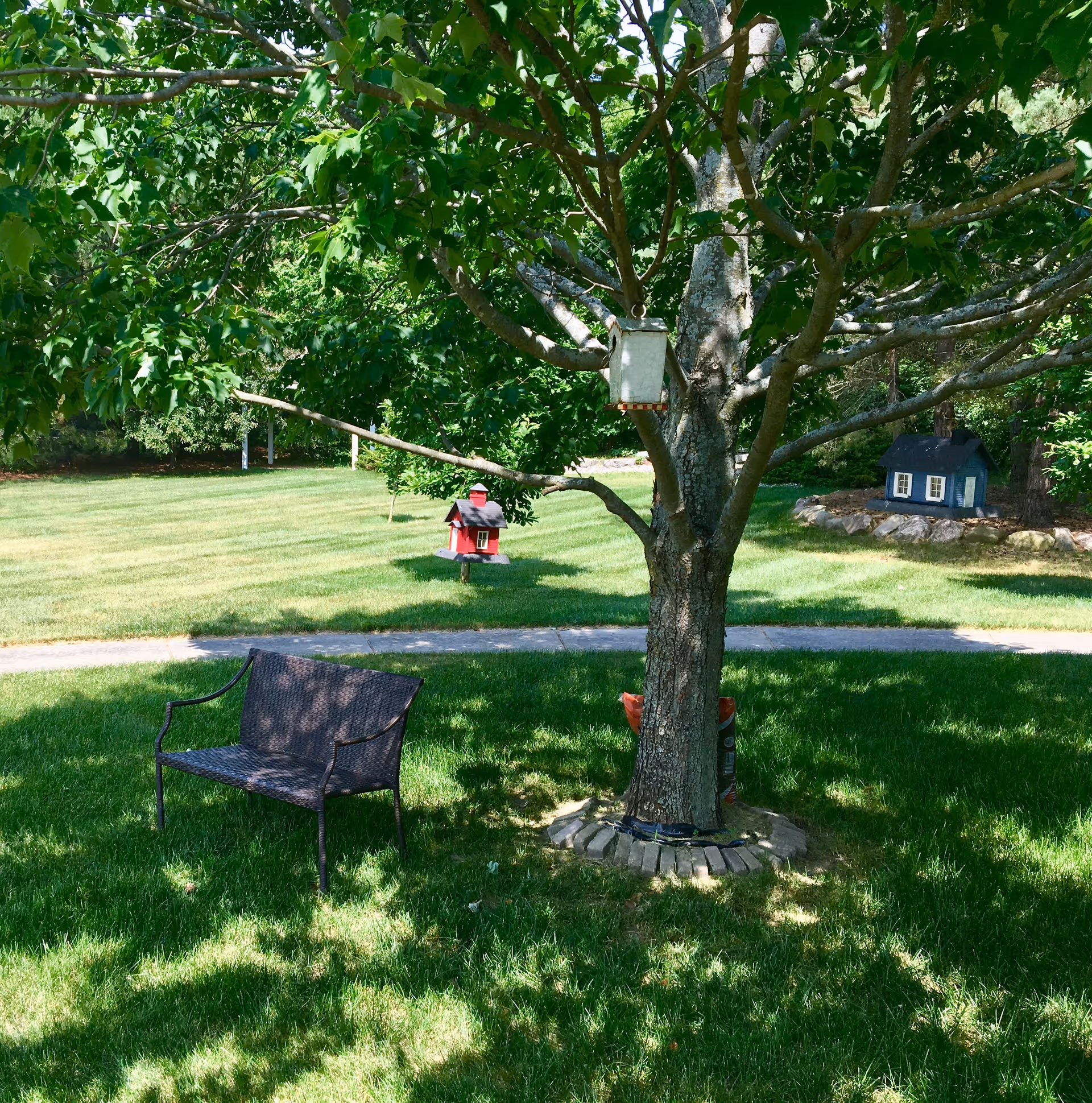 A peaceful outdoor garden area with a tree in the center, a black metal bench on the grass, a bird feeder hanging from the tree, and two decorative birdhouses on the lawn in the background.