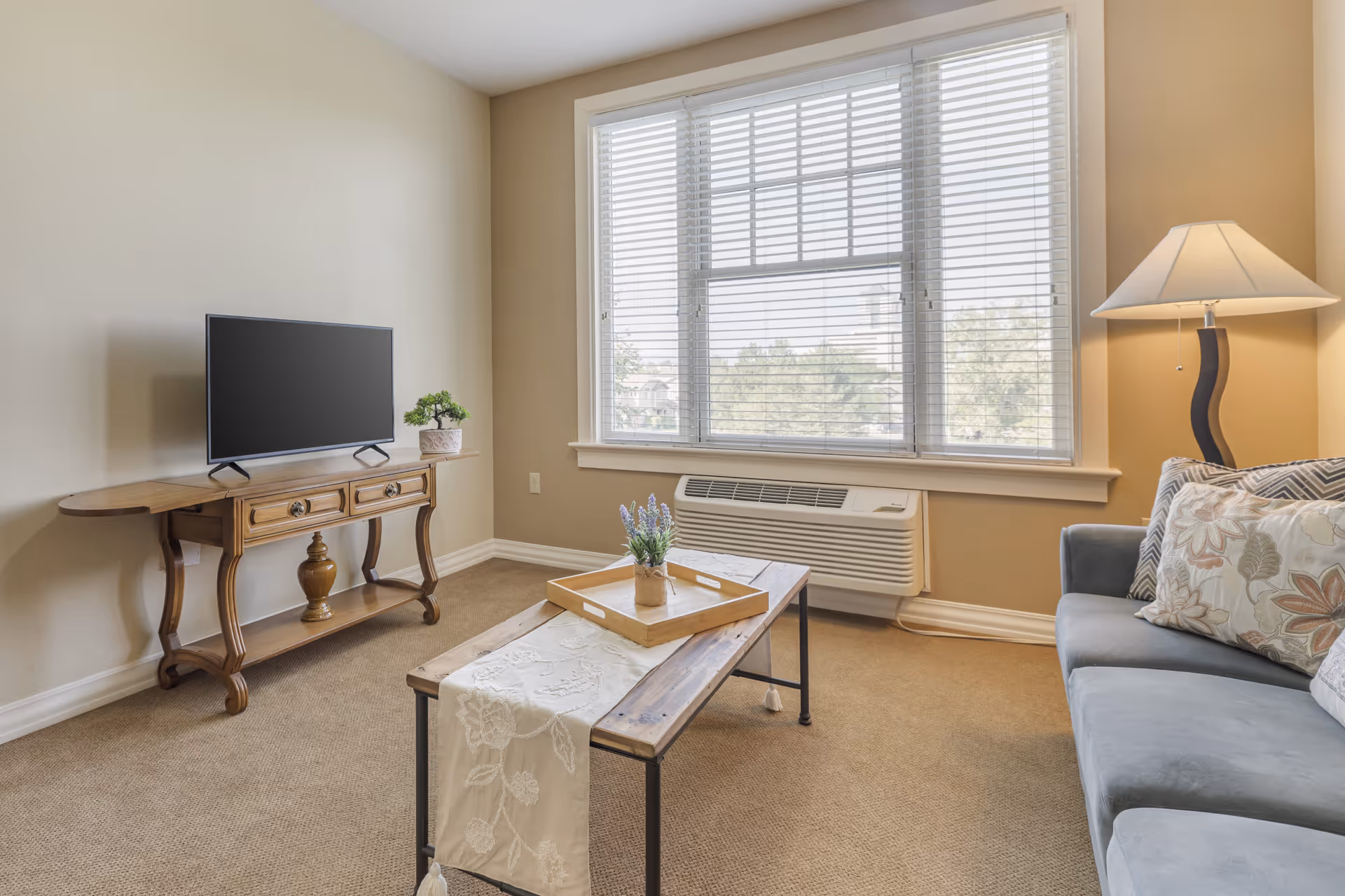 Bright living room with a sofa, coffee table, TV on a wooden console, large window with blinds, and a floor lamp.