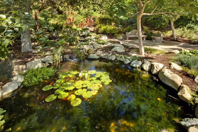 A serene outdoor garden area featuring a small pond with lily pads and fish, surrounded by rocks and lush greenery. There are trees providing shade and a stone bench on a paved area in the background.