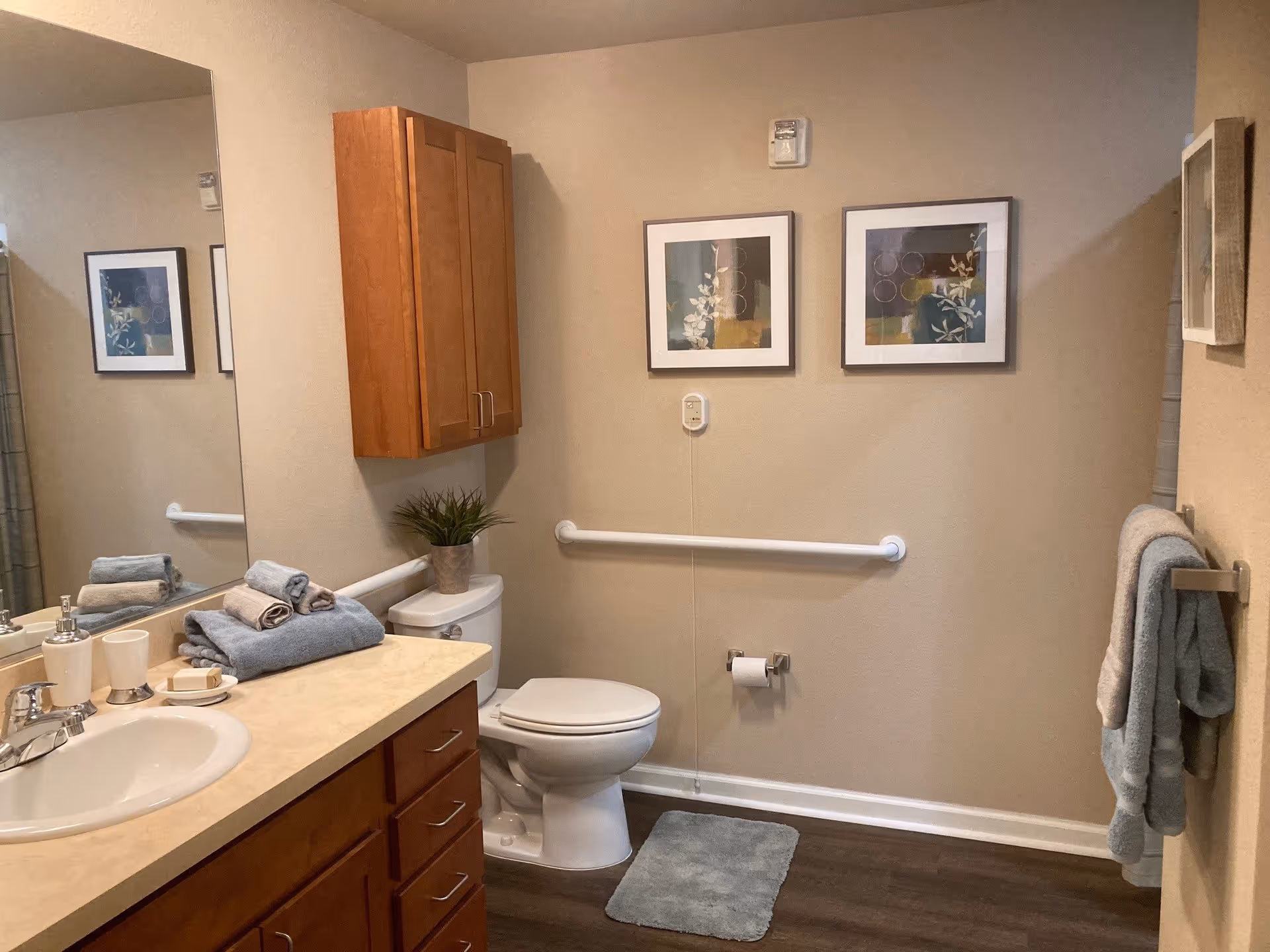 A clean and well-lit bathroom with a toilet, a sink with a countertop, and wooden cabinets. There are two framed pictures on the wall above the toilet, a small plant on the toilet tank, and neatly folded towels on the countertop and hanging on a towel rack. The bathroom has a grab bar next to the toilet and a small rug on the floor.