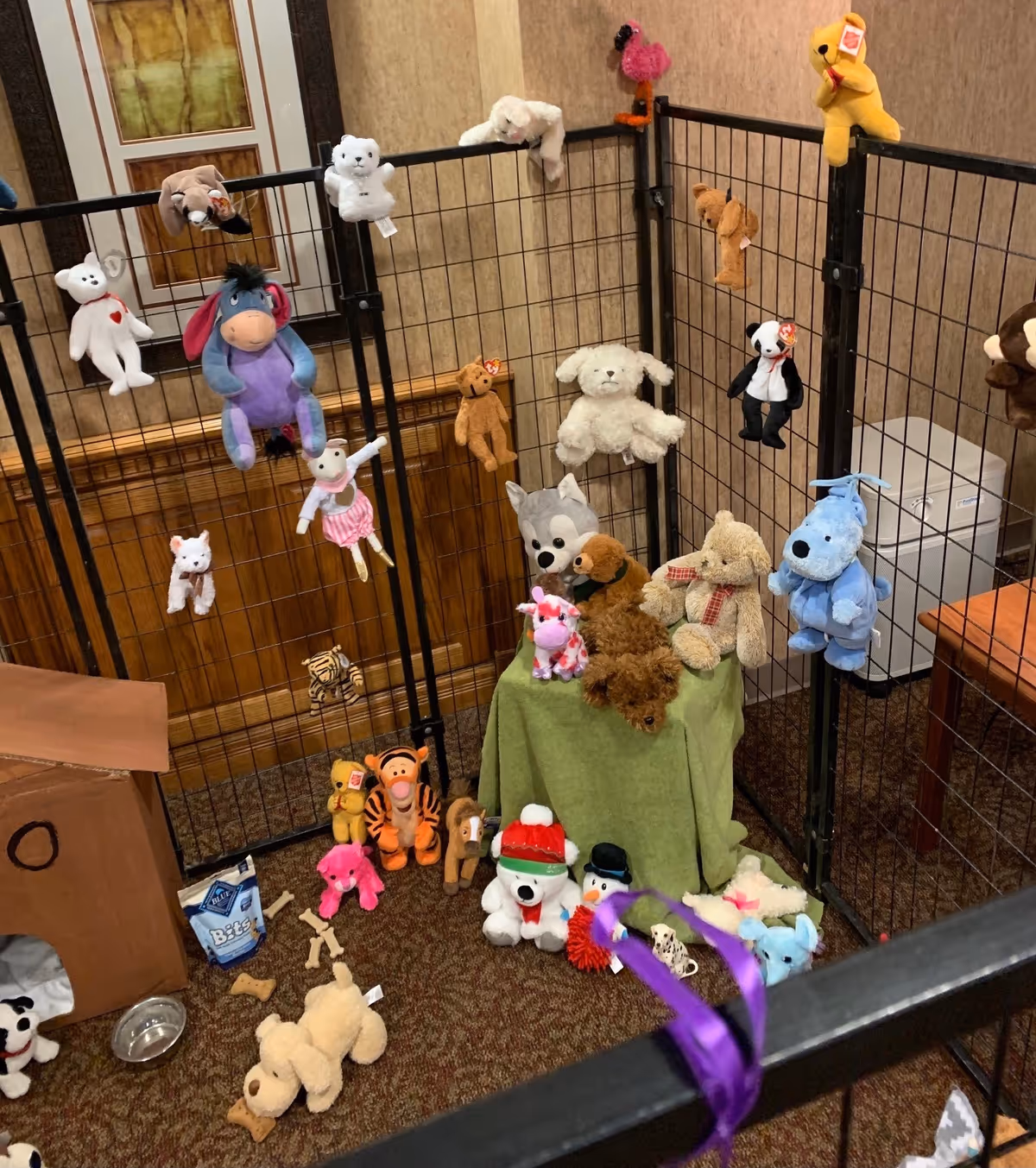 Indoor fenced area with numerous stuffed animals hung on wire panels and arranged on a small table and the floor.