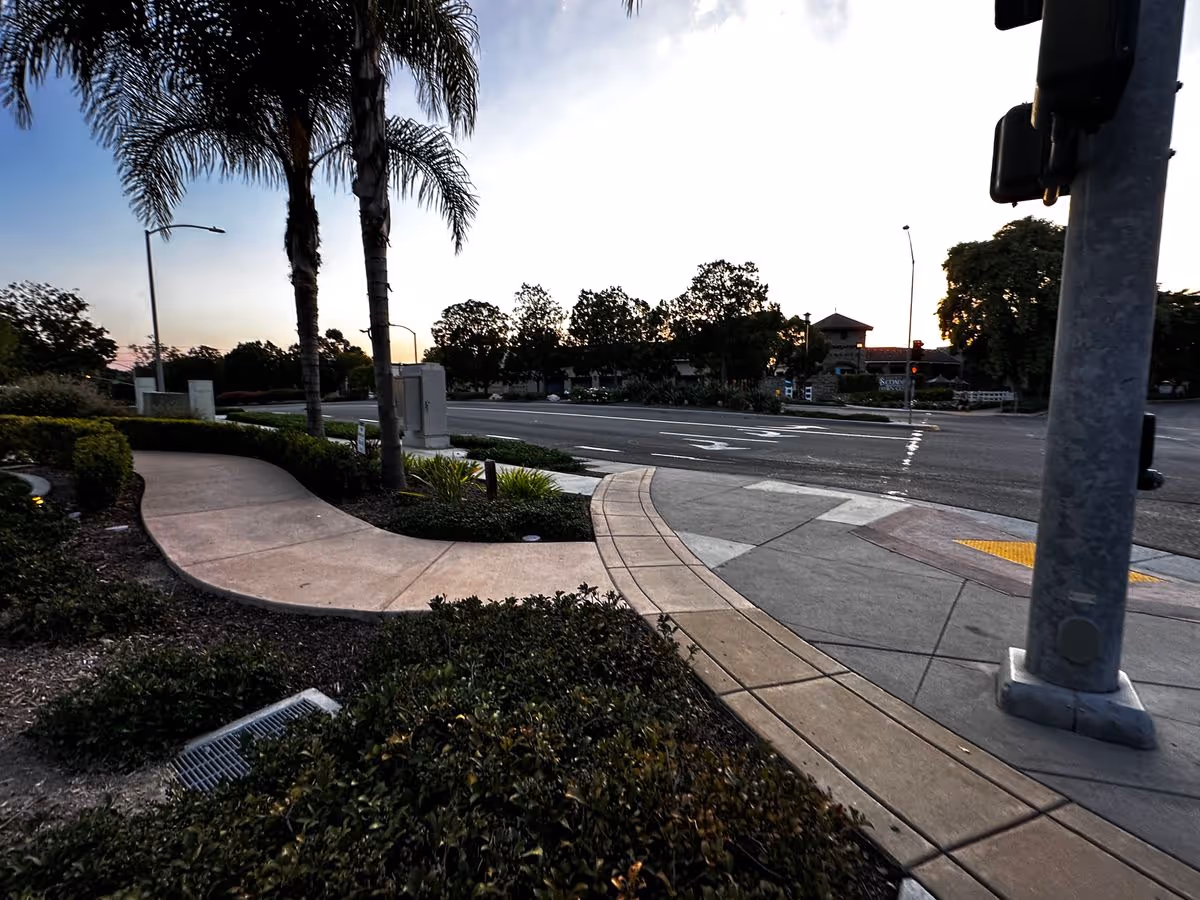 Curved landscaped sidewalk with palm trees beside an intersection and crosswalk at dusk.