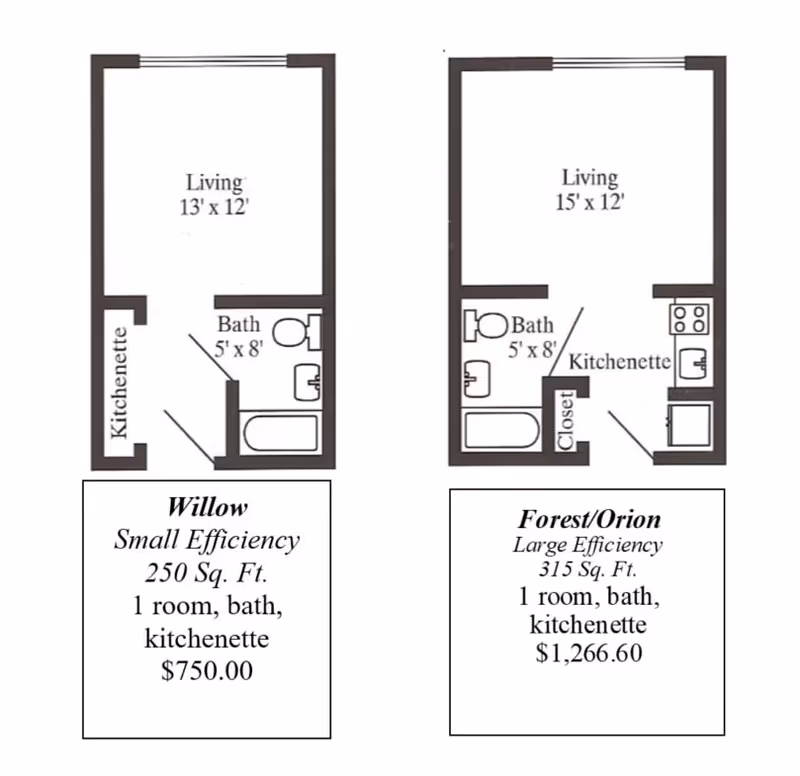 Two black-and-white floor plan diagrams labeled 'Willow' and 'Forest/Orion' showing studio living areas, kitchenettes, baths, square footage and prices.