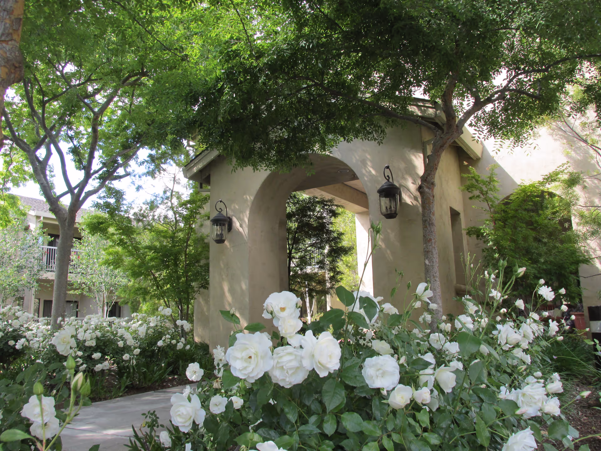 A welcoming entrance to Winding Commons Senior Living, featuring an archway surrounded by lush greenery and blooming white roses.