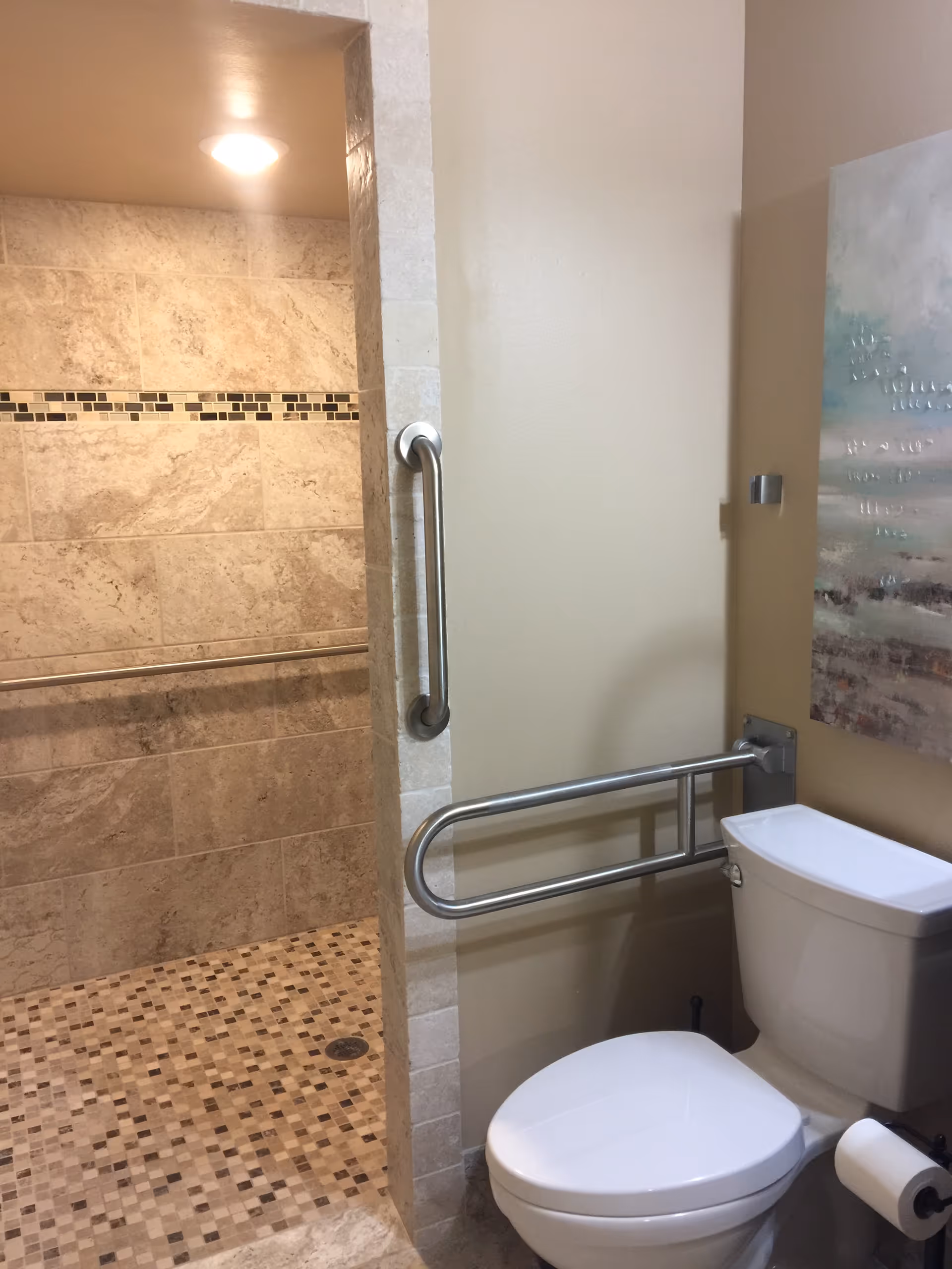 A bathroom with a white toilet and a wall-mounted metal grab bar next to it. The bathroom has a walk-in shower with beige and brown tiled walls and floor, featuring a horizontal decorative tile strip. There is a metal grab bar inside the shower and a ceiling light illuminating the space. A piece of abstract artwork is partially visible on the wall above the toilet.