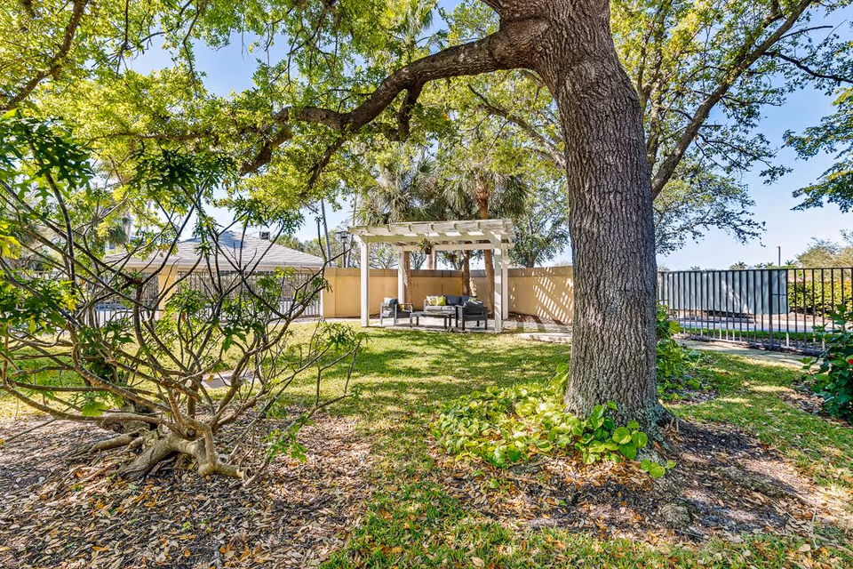 Outdoor garden area with a large tree in the foreground, green grass, and a white pergola with outdoor seating including a sofa and chairs. There is a fence and some palm trees in the background under a clear blue sky.