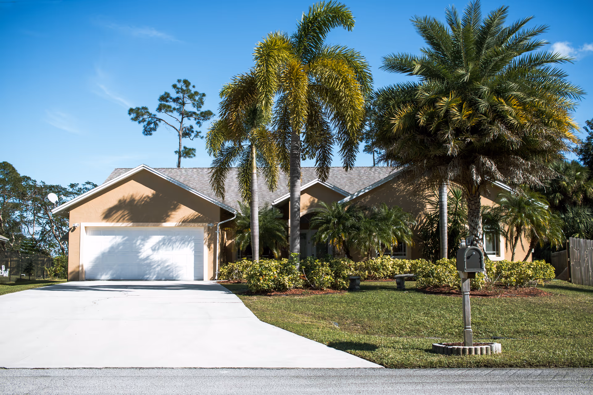Single-story stucco house with a white garage door, palm trees, a driveway, and a mailbox in the front yard.