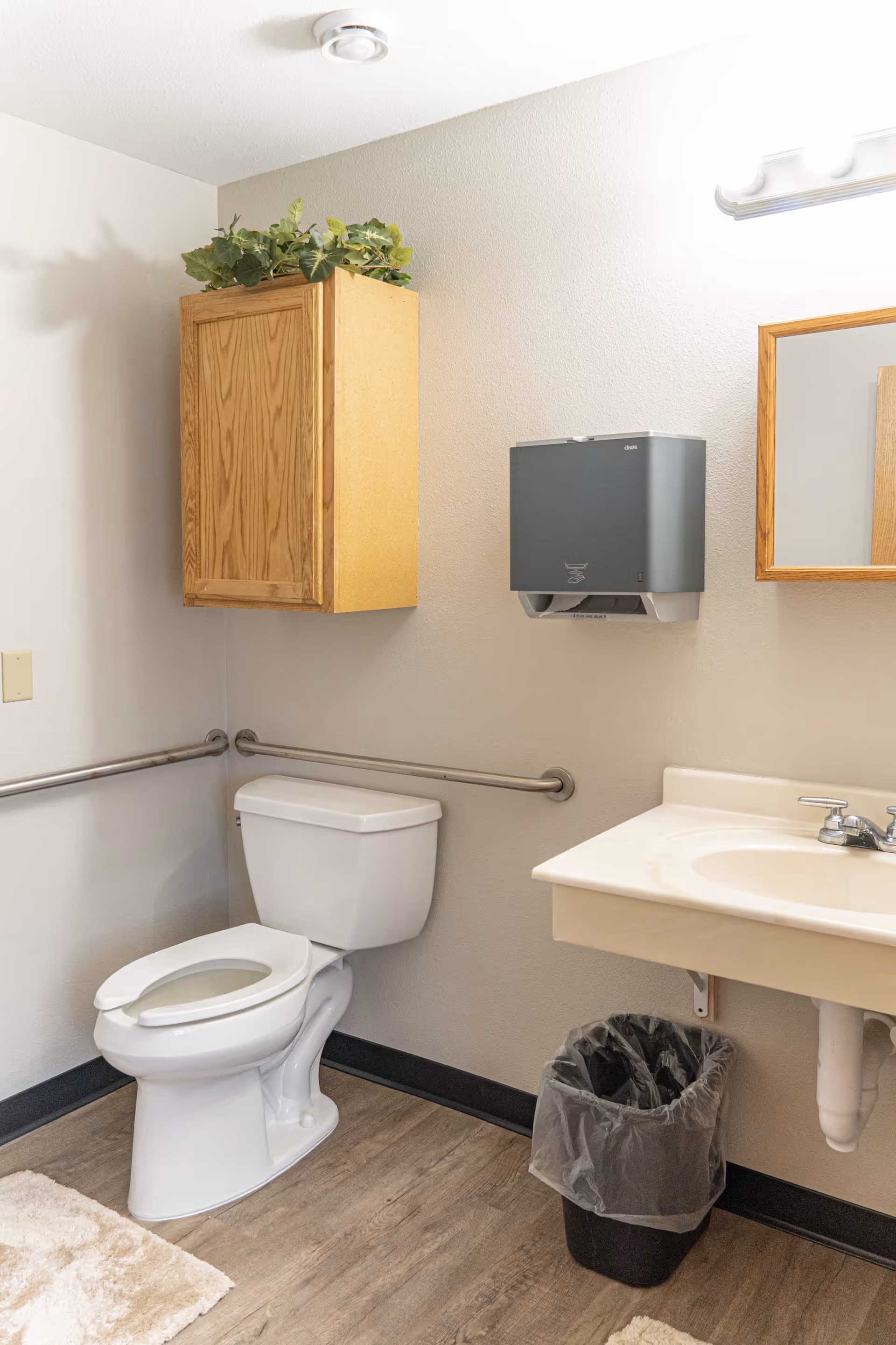 A clean and accessible bathroom featuring a white toilet with grab bars on the walls, a wooden cabinet with green plants on top, a wall-mounted paper towel dispenser, a sink with a faucet, a mirror with a wooden frame, a trash can with a plastic liner, and light-colored walls and flooring.