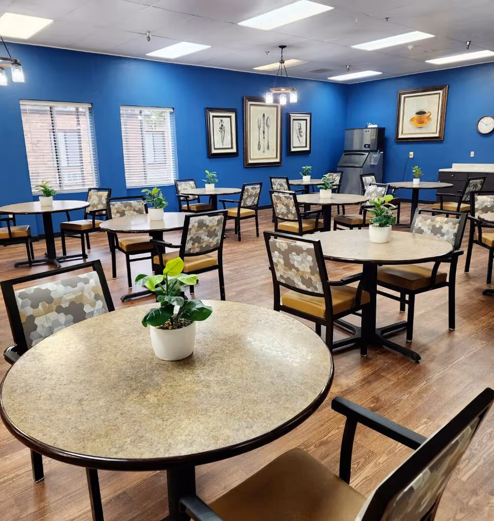 Dining room with multiple round tables and patterned chairs, each table topped with a small potted plant, blue walls and framed artwork.