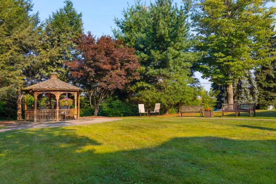 A peaceful outdoor garden area with a wooden gazebo on the left, surrounded by various trees including green pine and red-leafed trees. There are two white chairs and two wooden benches placed on the grass, with a planter containing flowers near the benches. The sky is clear and blue.