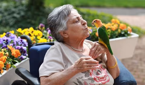 An elderly woman sitting in a wheelchair outdoors, holding and interacting with a colorful parrot perched on her hand. There are vibrant flowers and greenery in the background.