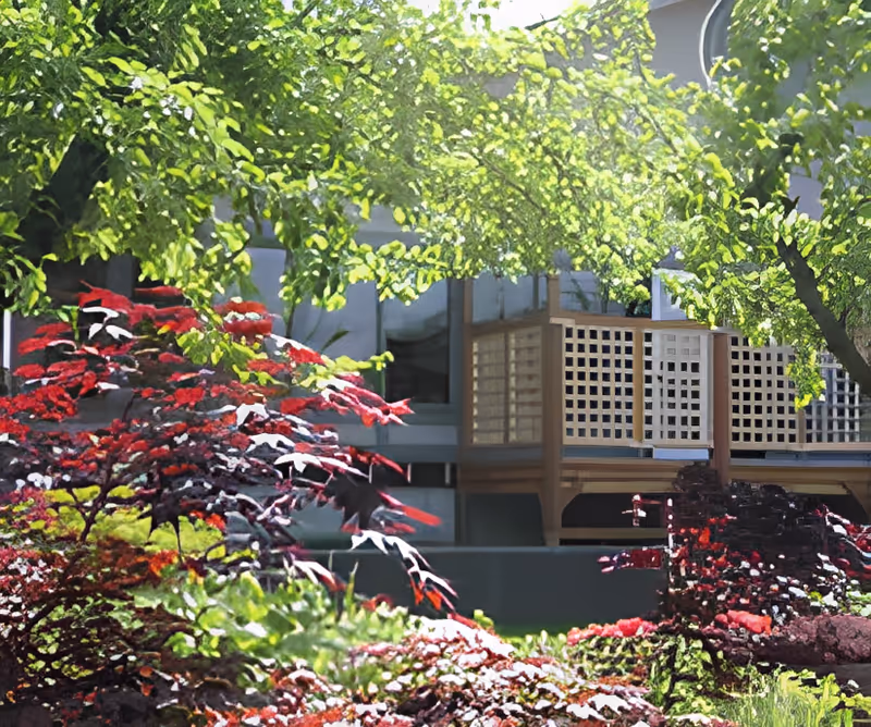 A lush garden area with vibrant green and red foliage in front of a building featuring a wooden balcony with lattice railings, partially shaded by trees.