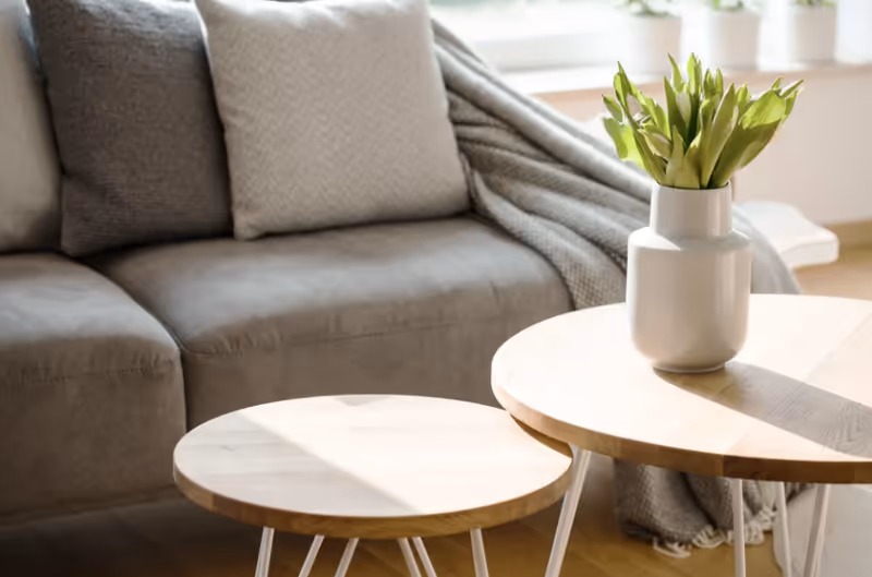 A cozy living room area with a gray sofa adorned with two cushions and a gray knitted throw blanket. In front of the sofa are two round wooden coffee tables, one with a white vase holding green leafy plants. Sunlight streams in from a window in the background.