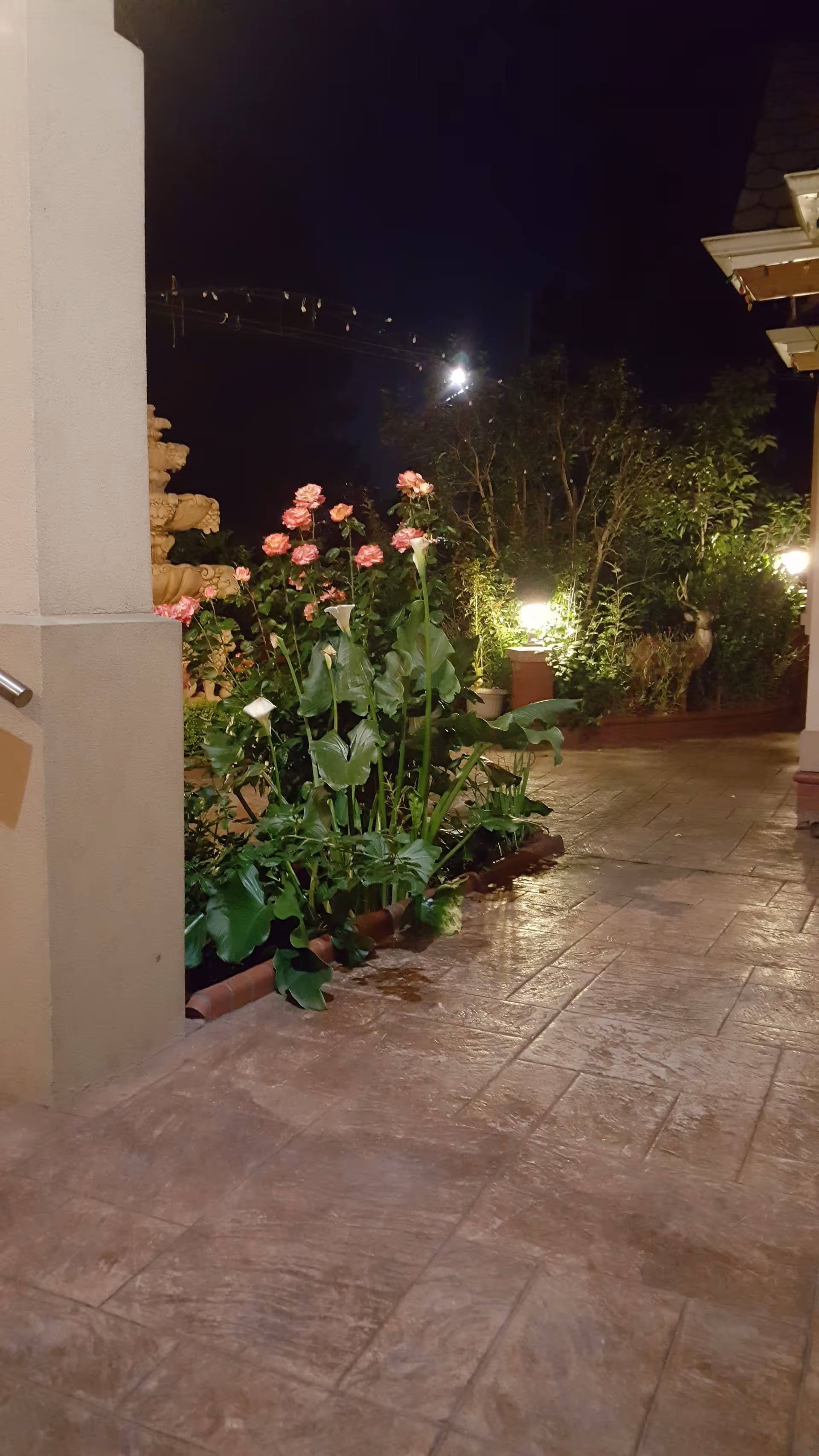 Nighttime outdoor view of a garden area with blooming pink flowers and green plants along a tiled walkway. There are illuminated garden lights and some trees in the background, with part of a building visible on the right side.