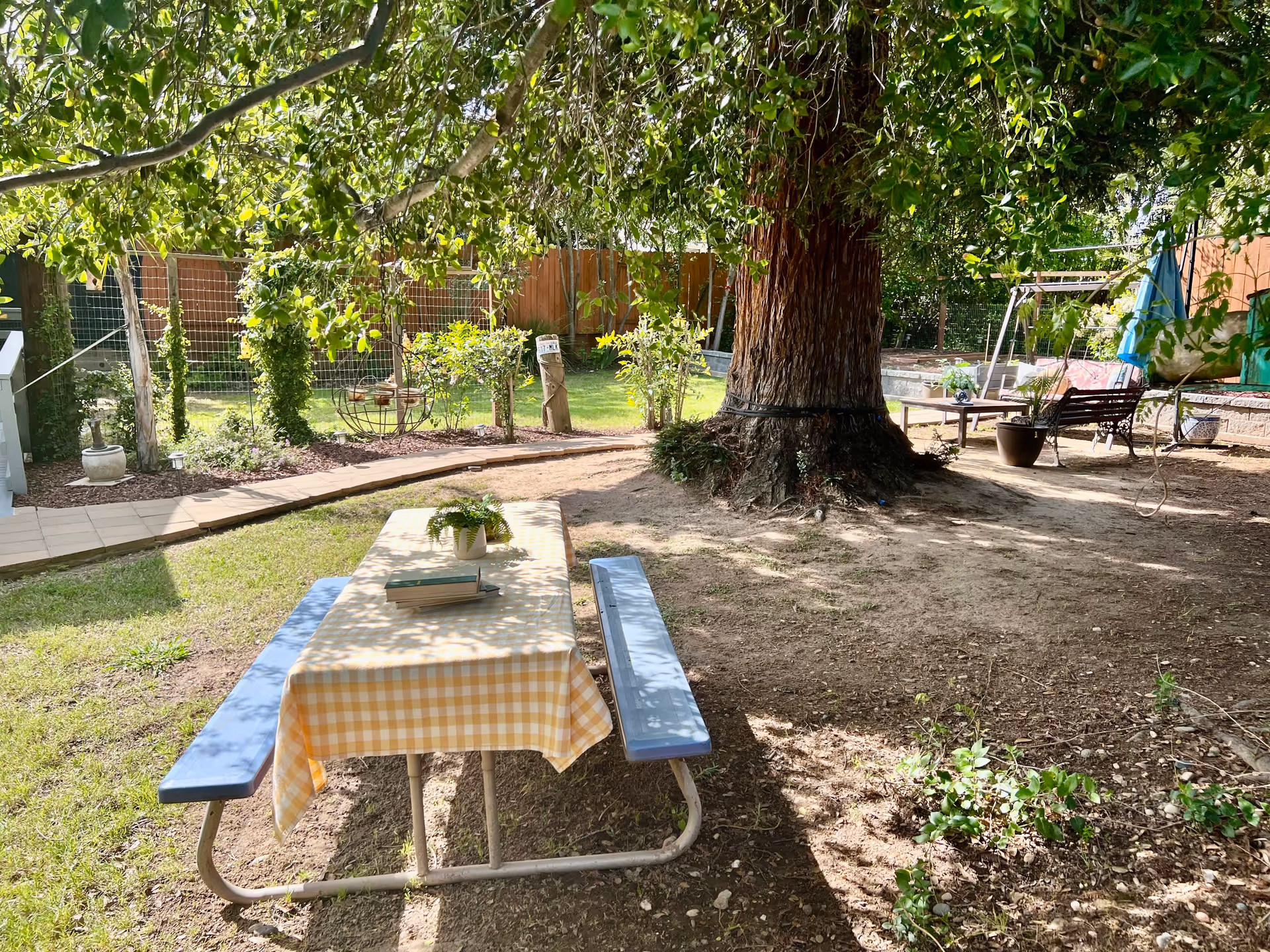 Outdoor garden area with a picnic table covered with a yellow checkered tablecloth, a potted plant, and a book on top. The area is shaded by a large tree with thick branches and surrounded by greenery, including bushes and a wooden fence. There is a swing bench and potted plants in the background.