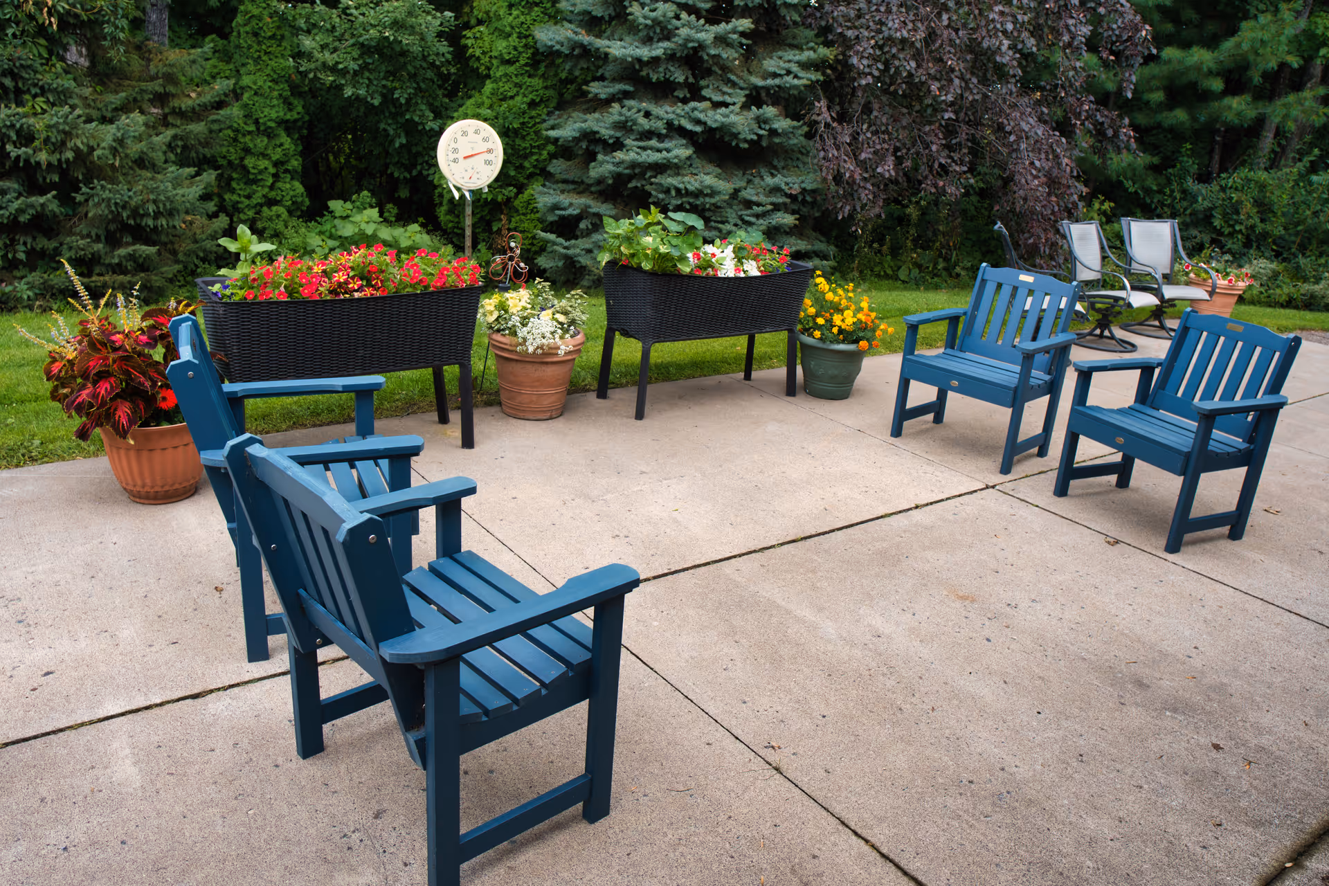 Concrete patio with blue wooden chairs arranged near planters of colorful flowers and surrounding trees.