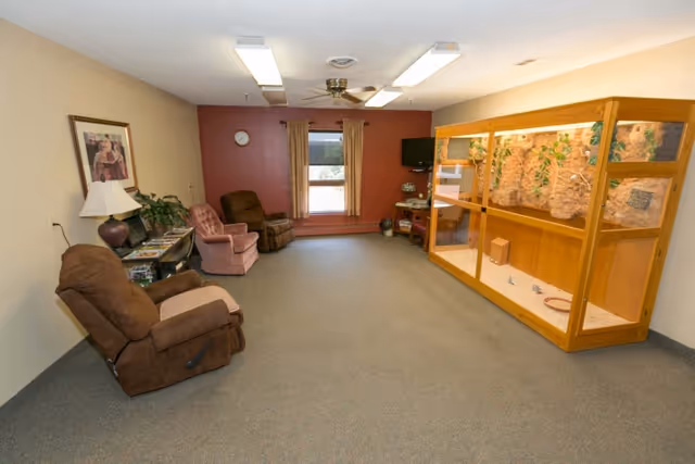 A spacious living room area with beige walls and carpeted floor. The room features three recliner chairs in brown and pink colors, a side table with a lamp and plants, a window with curtains, a wall clock, a ceiling fan with lights, a small TV on a stand, and a large wooden enclosure with a rocky background and some greenery inside.