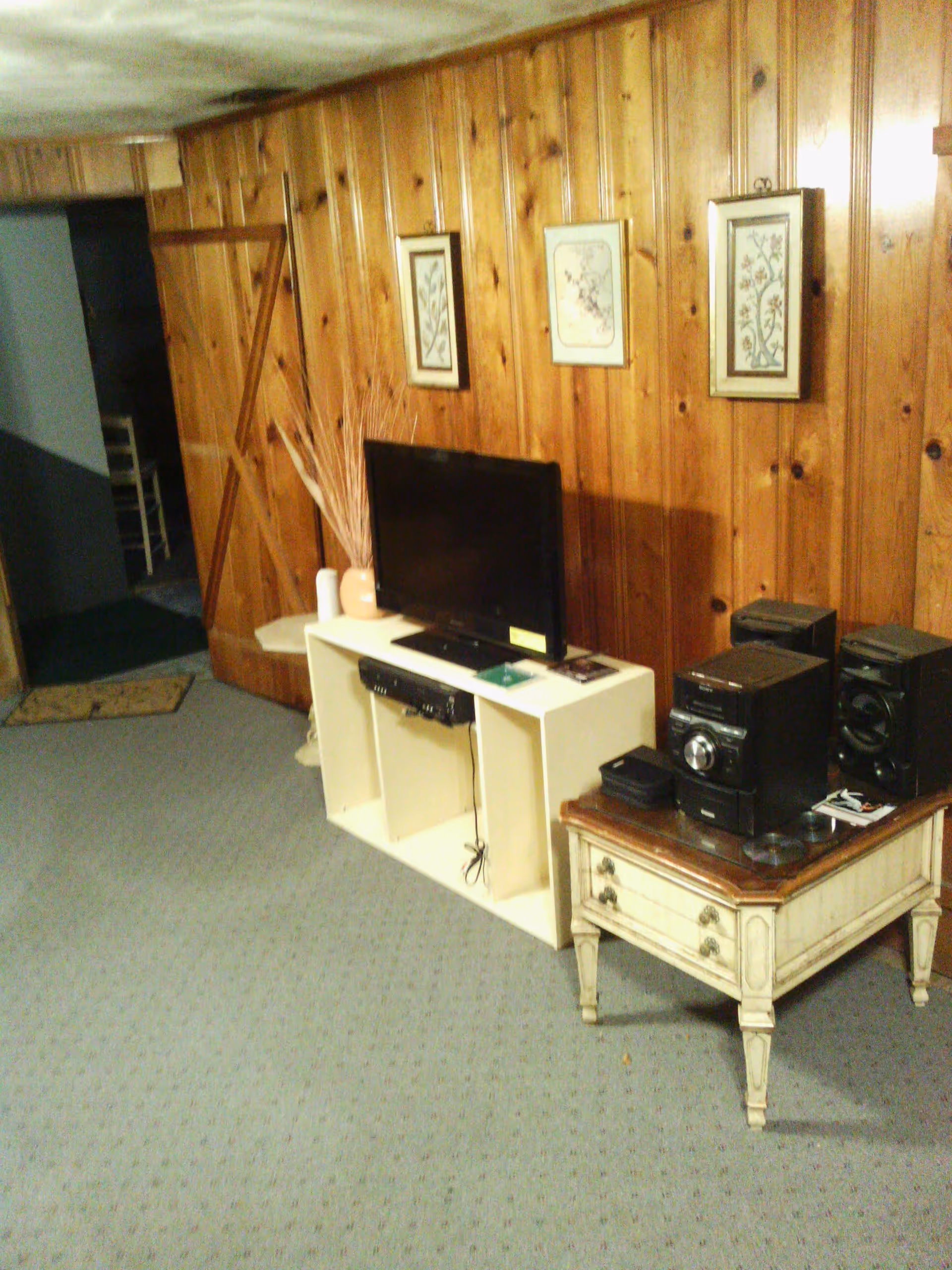 A cozy living room with wood-paneled walls featuring three framed botanical prints. A flat-screen TV sits on a white cubed shelf unit, accompanied by a vase with dried branches and a candle. Next to it is a small vintage-style wooden table holding a stereo system with speakers. The floor is carpeted in a muted green pattern, and there is a doorway leading to another room with a chair visible inside.