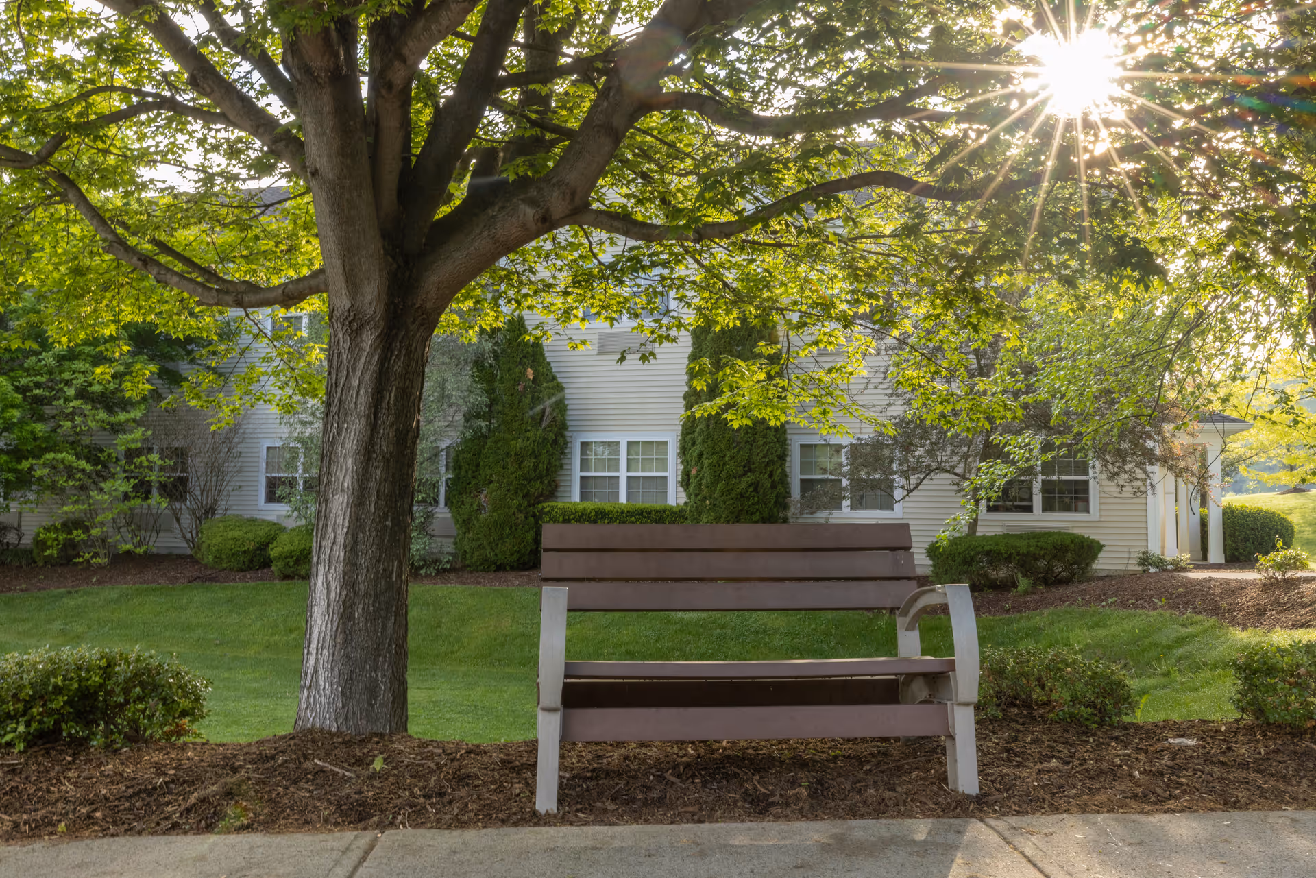 A wooden bench under a large leafy tree with sunlight filtering through the branches, situated in front of a residential building with white siding and multiple windows, surrounded by green grass and neatly trimmed bushes.