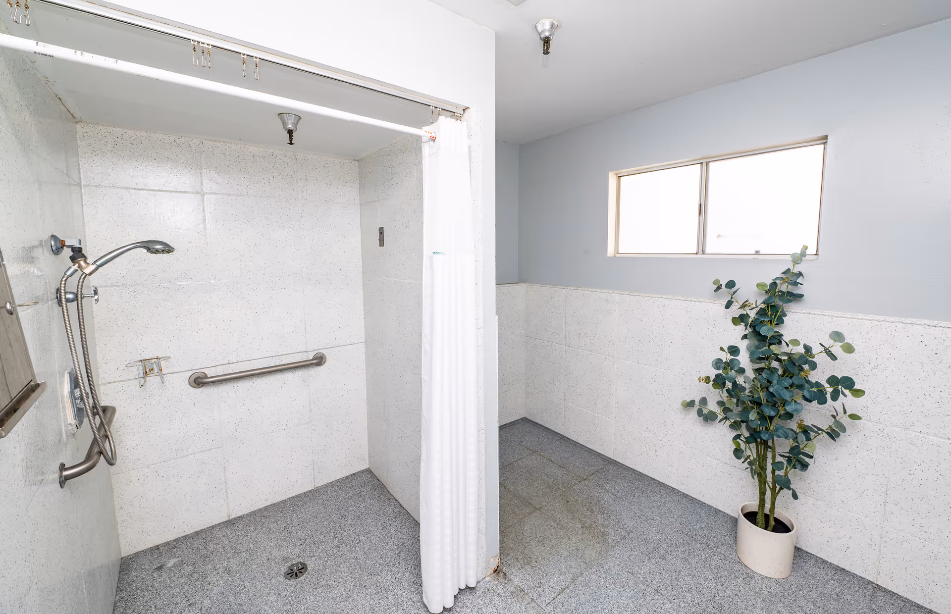 A clean, accessible shower area with a handheld showerhead, grab bars, and a white shower curtain. The room has light gray tiled walls and floor, a small window, and a potted plant in the corner.