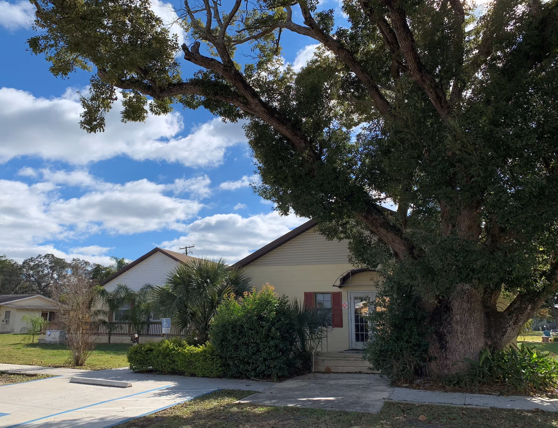 A single-story beige building's front with a doorway, large tree, and manicured shrubs.