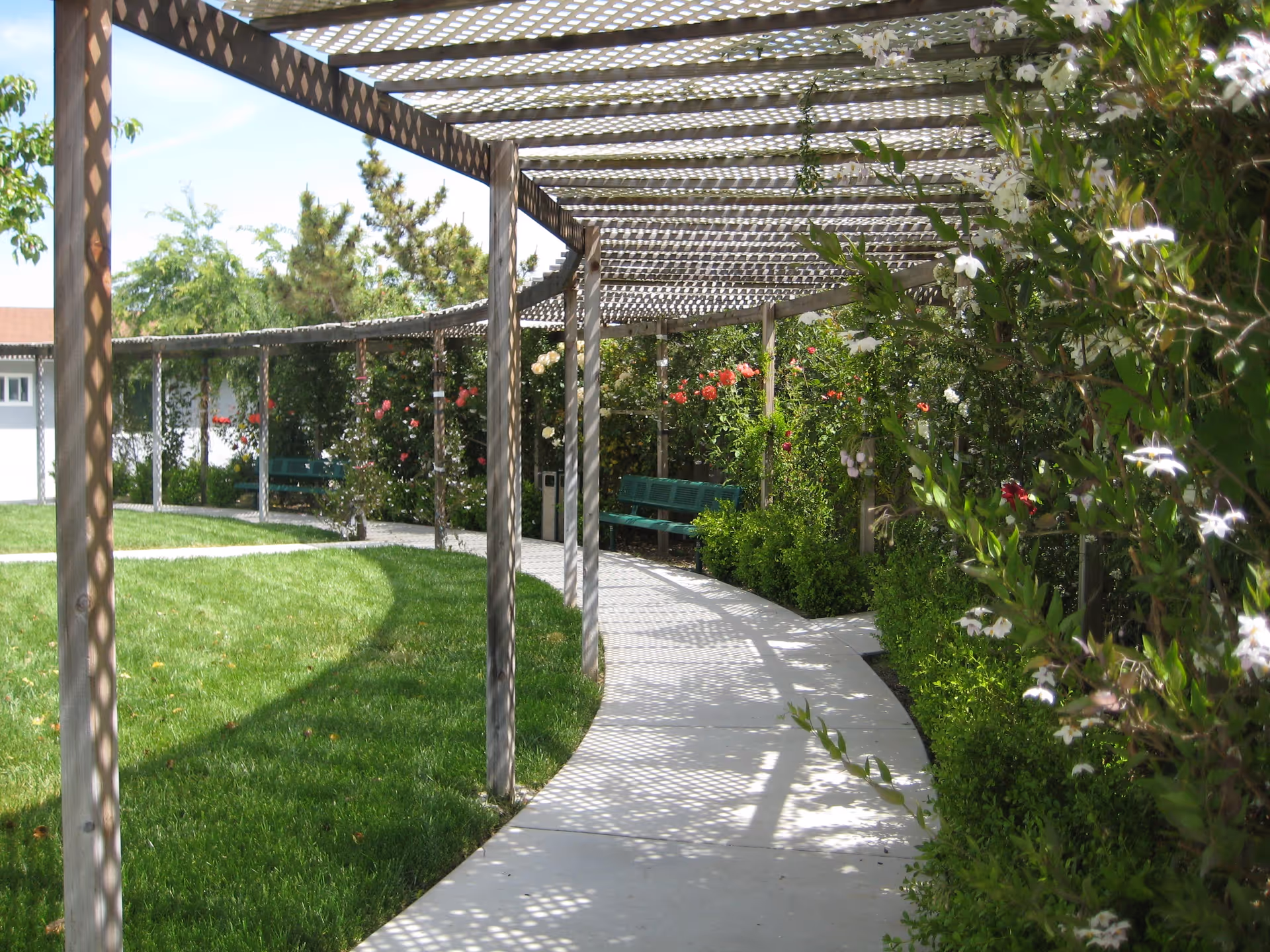 A curved outdoor walkway with a wooden pergola overhead casting patterned shadows on the path. The walkway is bordered by green grass on one side and lush bushes with blooming flowers on the other. There are green benches along the path under the pergola.