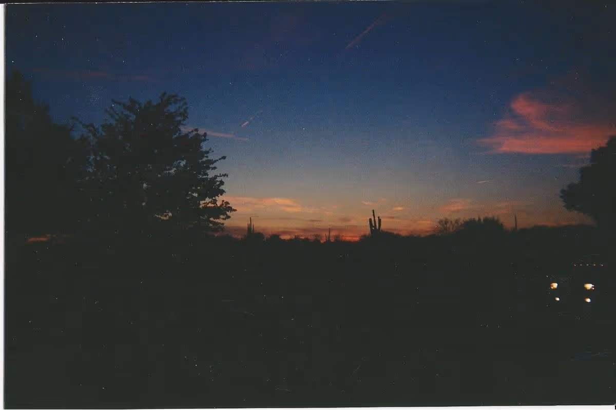 A dark outdoor scene at dusk with silhouettes of trees and cacti against a colorful sky with shades of blue, orange, and pink.