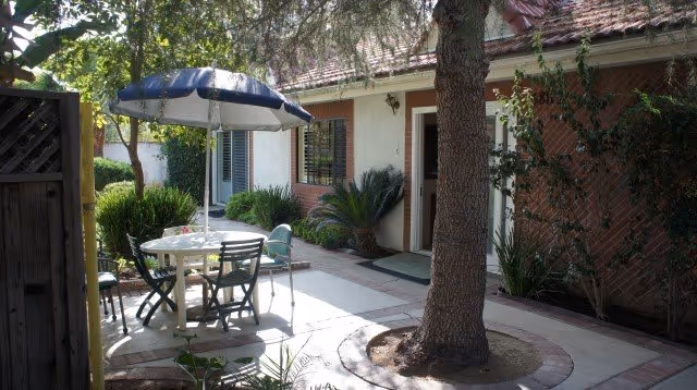 Outdoor patio area with a round table and four chairs under a blue and white umbrella. The patio is adjacent to a brick and stucco building with windows and a door. There is a large tree growing through the paved patio, surrounded by plants and greenery.